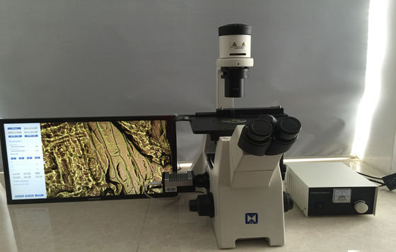 Trinocular keerde Biologische Microscoop voor de Cultuur van de Onderzoekcel om